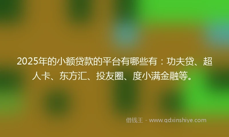 2025年的小额贷款的平台有哪些有:功夫贷、超人卡、东方汇、投友圈、度小满金融等。