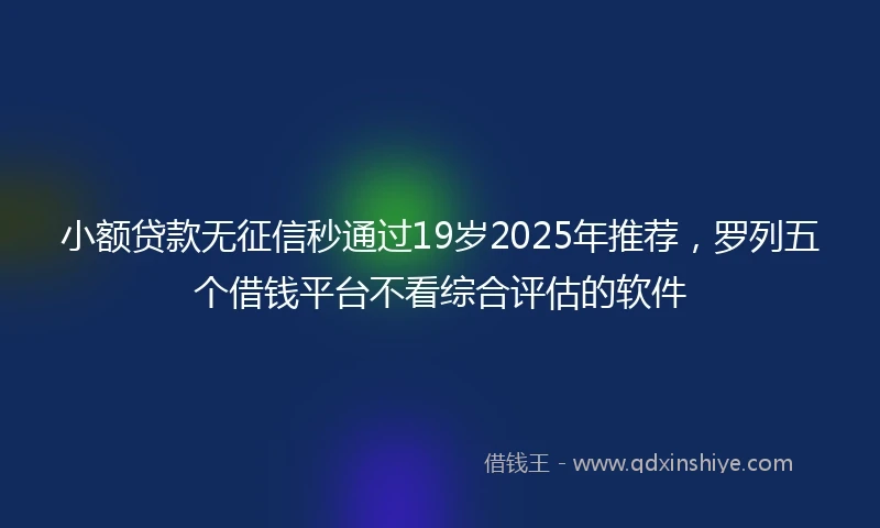 小额贷款无征信秒通过19岁2025年推荐,罗列五个借钱平台不看综合评估的软件