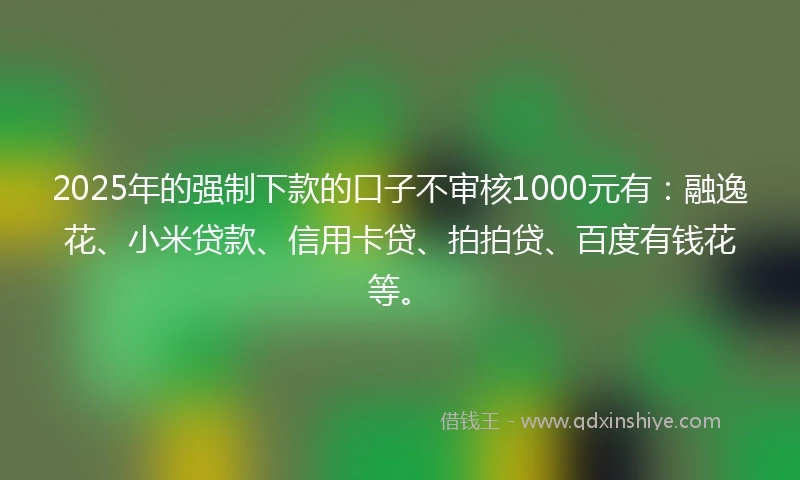2025年的强制下款的口子不审核1000元有：融逸花、小米贷款、信用卡贷、拍拍贷、百度有钱花等。