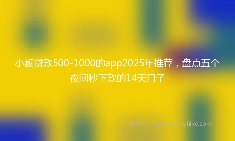 小额贷款500-1000的app2025年推荐，盘点五个夜间秒下款的14天口子