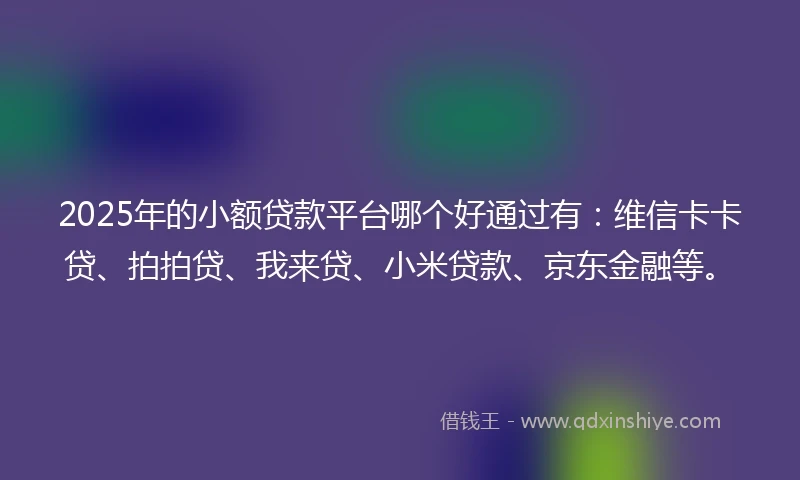 2025年的小额贷款平台哪个好通过有：维信卡卡贷、拍拍贷、我来贷、小米贷款、京东金融等。