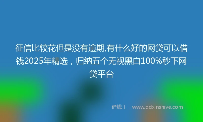 征信比较花但是没有逾期,有什么好的网贷可以借钱2025年精选，归纳五个无视黑白100%秒下网贷平台