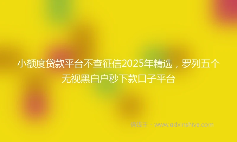 小额度贷款平台不查征信2025年精选，罗列五个无视黑白户秒下款口子平台