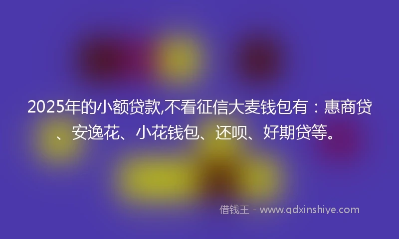2025年的小额贷款,不看征信大麦钱包有：惠商贷、安逸花、小花钱包、还呗、好期贷等。