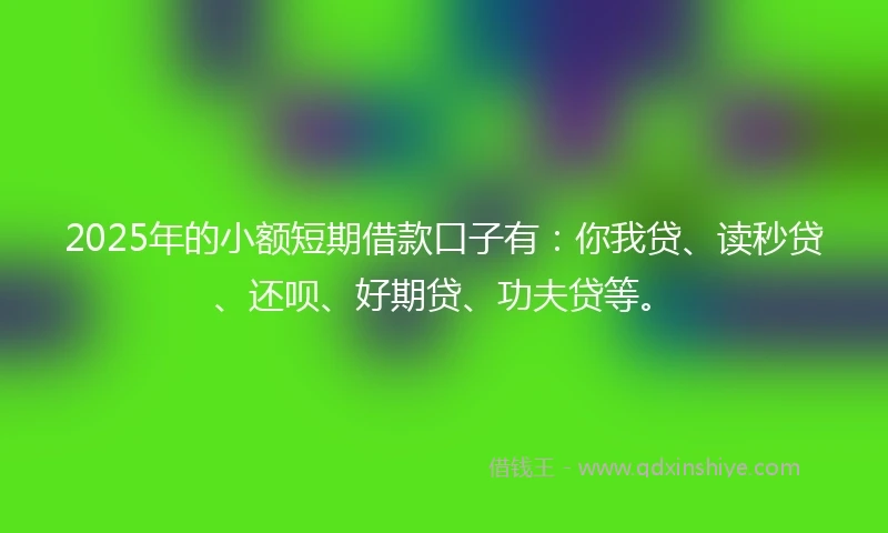 2025年的小额短期借款口子有：你我贷、读秒贷、还呗、好期贷、功夫贷等。