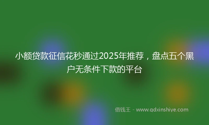 小额贷款征信花秒通过2025年推荐，盘点五个黑户无条件下款的平台