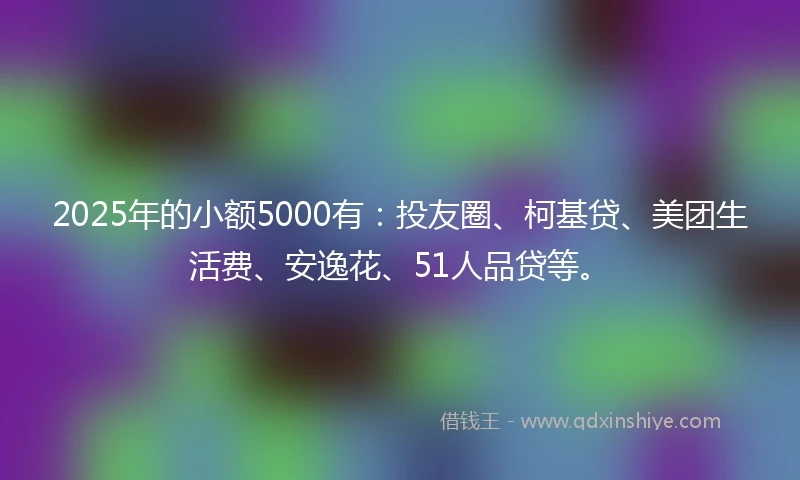 2025年的小额5000有：投友圈、柯基贷、美团生活费、安逸花、51人品贷等。