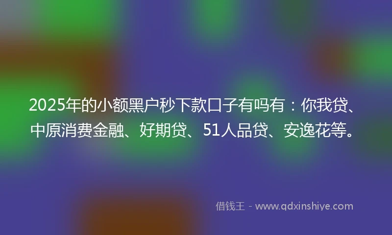 2025年的小额黑户秒下款口子有吗有：你我贷、中原消费金融、好期贷、51人品贷、安逸花等。