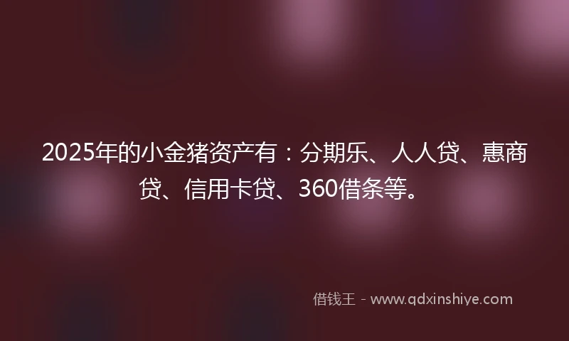 2025年的小金猪资产有：分期乐、人人贷、惠商贷、信用卡贷、360借条等。