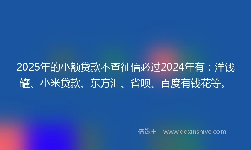 2025年的小额贷款不查征信必过2024年有：洋钱罐、小米贷款、东方汇、省呗、百度有钱花等。