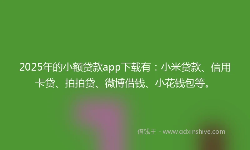 2025年的小额贷款app下载有：小米贷款、信用卡贷、拍拍贷、微博借钱、小花钱包等。