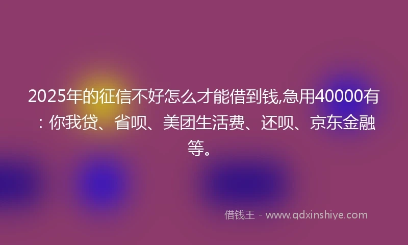 2025年的征信不好怎么才能借到钱,急用40000有：你我贷、省呗、美团生活费、还呗、京东金融等。