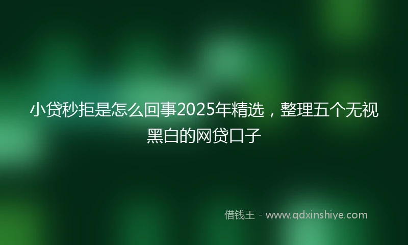小贷秒拒是怎么回事2025年精选，整理五个无视黑白的网贷口子