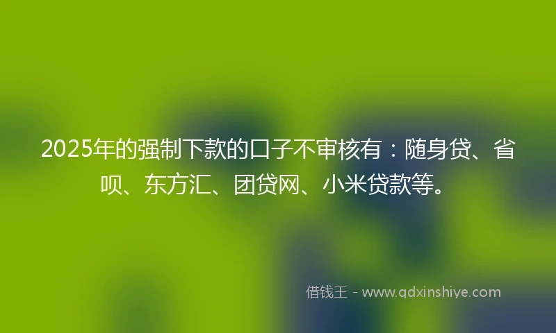 2025年的强制下款的口子不审核有：随身贷、省呗、东方汇、团贷网、小米贷款等。