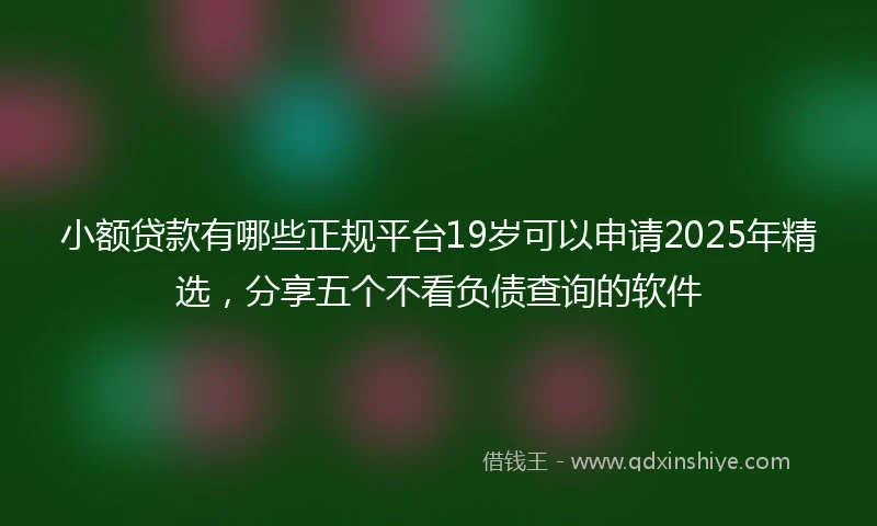小额贷款有哪些正规平台19岁可以申请2025年精选，分享五个不看负债查询的软件