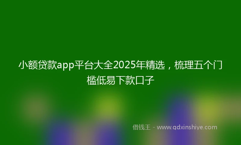小额贷款app平台大全2025年精选，梳理五个门槛低易下款口子