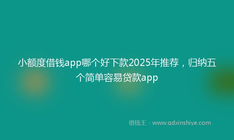 小额度借钱app哪个好下款2025年推荐，归纳五个简单容易贷款app