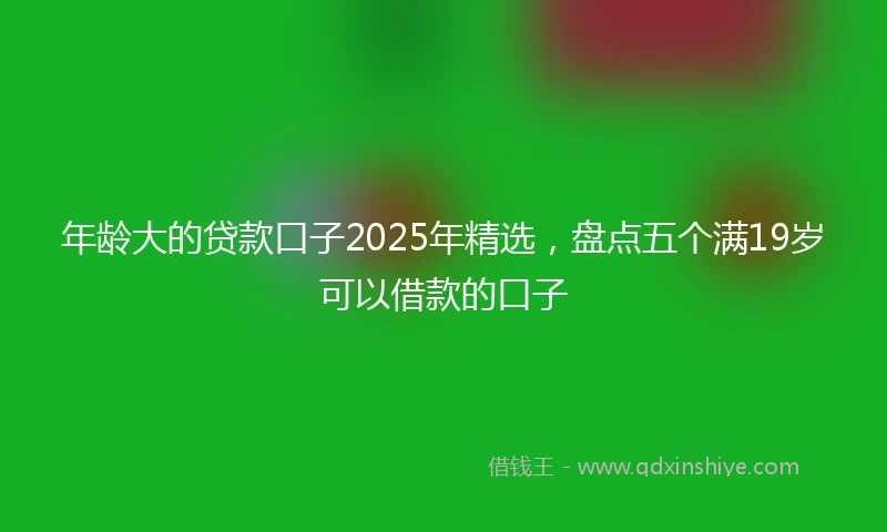 年龄大的贷款口子2025年精选，盘点五个满19岁可以借款的口子