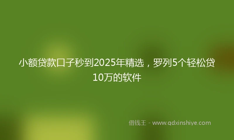 小额贷款口子秒到2025年精选，罗列5个轻松贷10万的软件