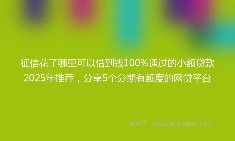 征信花了哪里可以借到钱100%通过的小额贷款2025年推荐，分享5个分期有额度的网贷平台