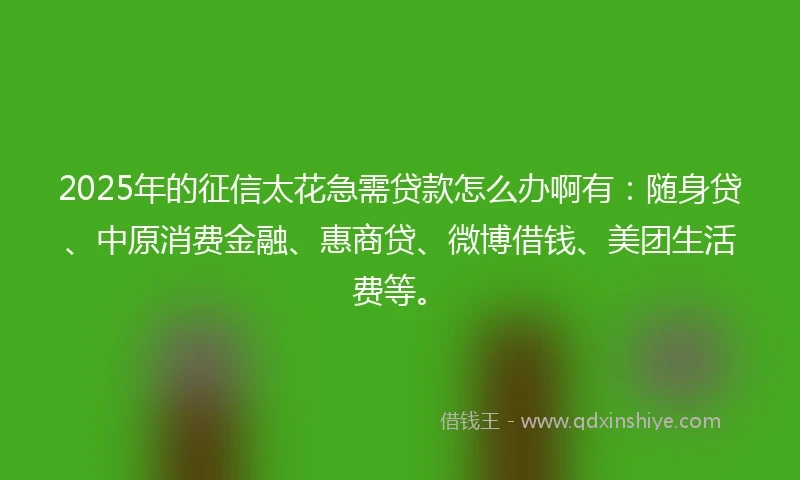 2025年的征信太花急需贷款怎么办啊有：随身贷、中原消费金融、惠商贷、微博借钱、美团生活费等。