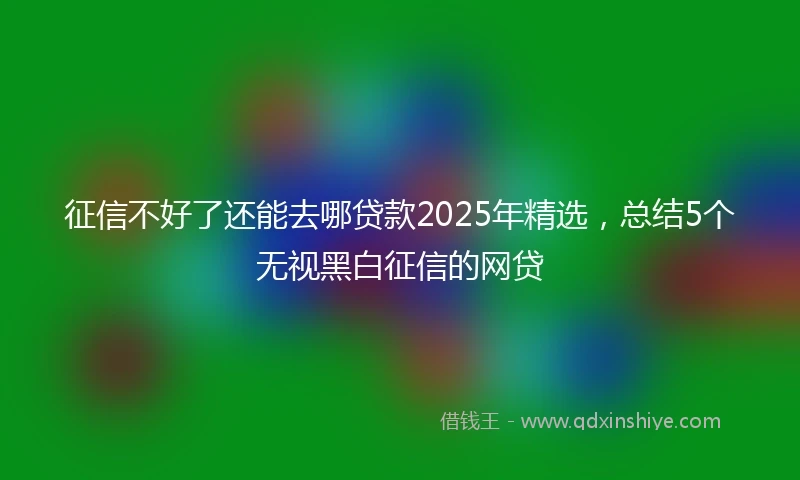 征信不好了还能去哪贷款2025年精选，总结5个无视黑白征信的网贷