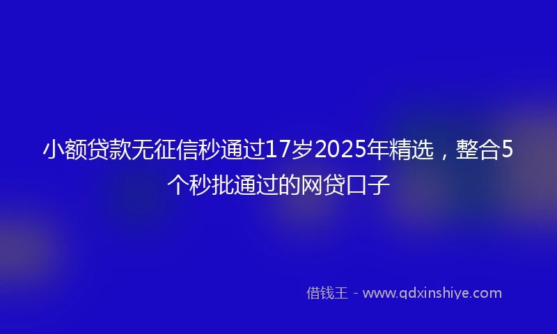 小额贷款无征信秒通过17岁2025年精选，整合5个秒批通过的网贷口子