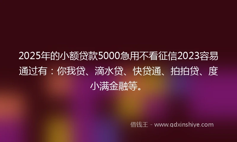 2025年的小额贷款5000急用不看征信2023容易通过有：你我贷、滴水贷、快贷通、拍拍贷、度小满金融等。