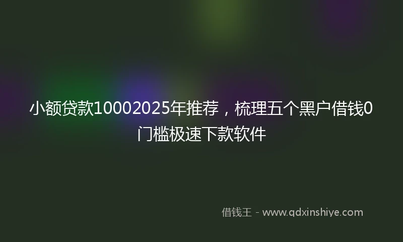 小额贷款10002025年推荐，梳理五个黑户借钱0门槛极速下款软件