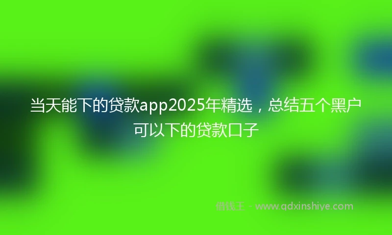 当天能下的贷款app2025年精选，总结五个黑户可以下的贷款口子