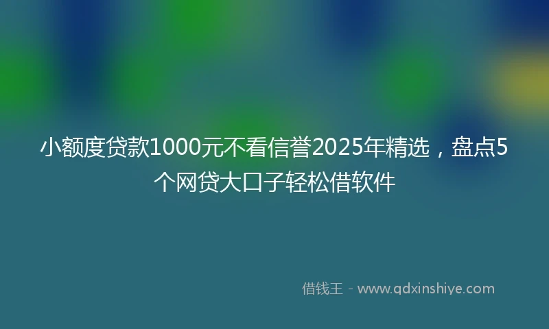小额度贷款1000元不看信誉2025年精选，盘点5个网贷大口子轻松借软件