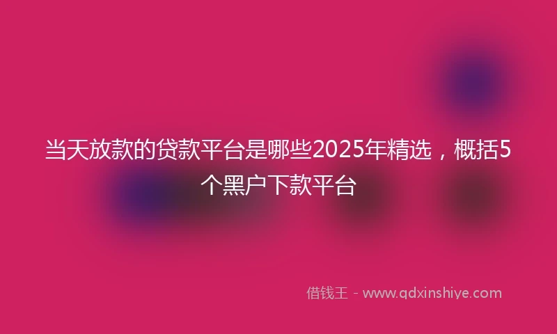 当天放款的贷款平台是哪些2025年精选，概括5个黑户下款平台