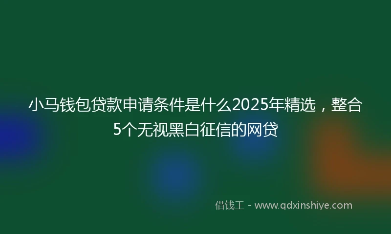 小马钱包贷款申请条件是什么2025年精选，整合5个无视黑白征信的网贷