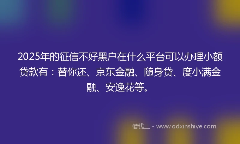 2025年的征信不好黑户在什么平台可以办理小额贷款有：替你还、京东金融、随身贷、度小满金融、安逸花等。