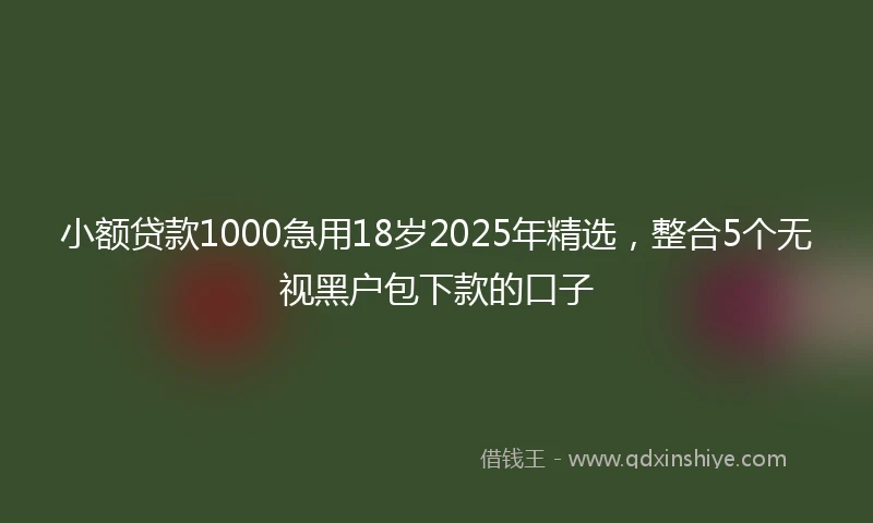 小额贷款1000急用18岁2025年精选，整合5个无视黑户包下款的口子
