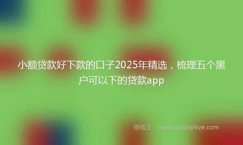 小额贷款好下款的口子2025年精选，梳理五个黑户可以下的贷款app