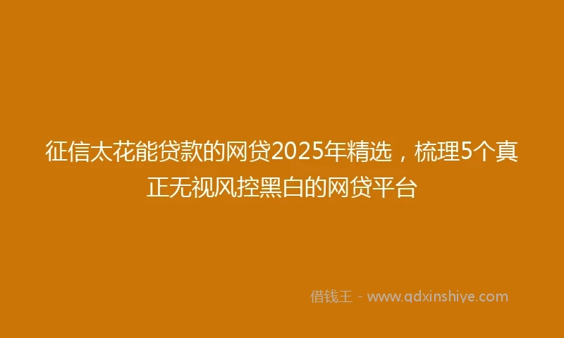 征信太花能贷款的网贷2025年精选，梳理5个真正无视风控黑白的网贷平台