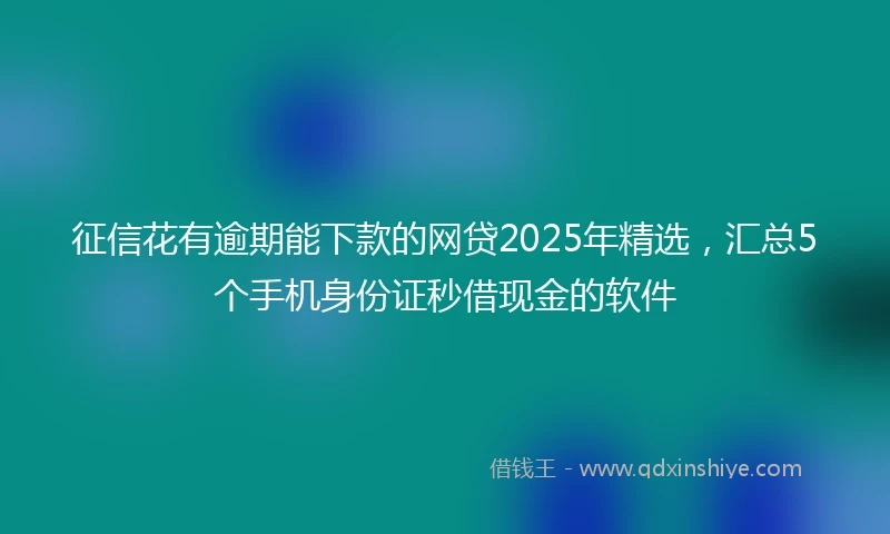 征信花有逾期能下款的网贷2025年精选，汇总5个手机身份证秒借现金的软件