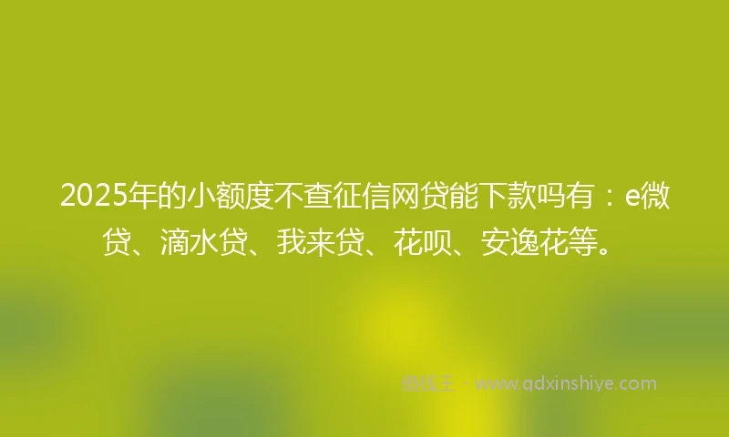 2025年的小额度不查征信网贷能下款吗有：e微贷、滴水贷、我来贷、花呗、安逸花等。