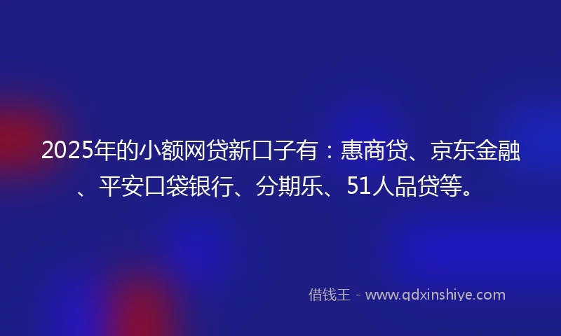 2025年的小额网贷新口子有：惠商贷、京东金融、平安口袋银行、分期乐、51人品贷等。
