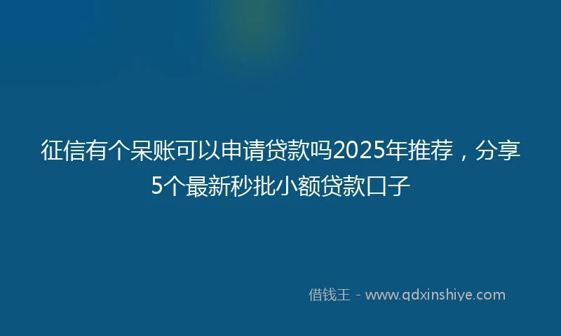 征信有个呆账可以申请贷款吗2025年推荐，分享5个最新秒批小额贷款口子