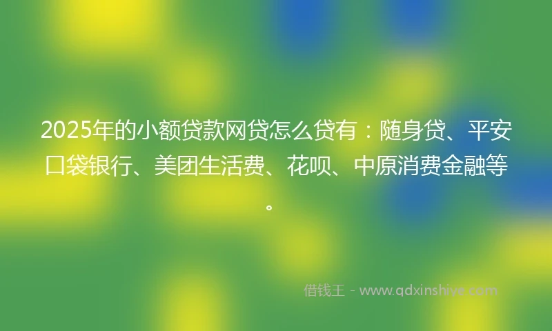 2025年的小额贷款网贷怎么贷有：随身贷、平安口袋银行、美团生活费、花呗、中原消费金融等。
