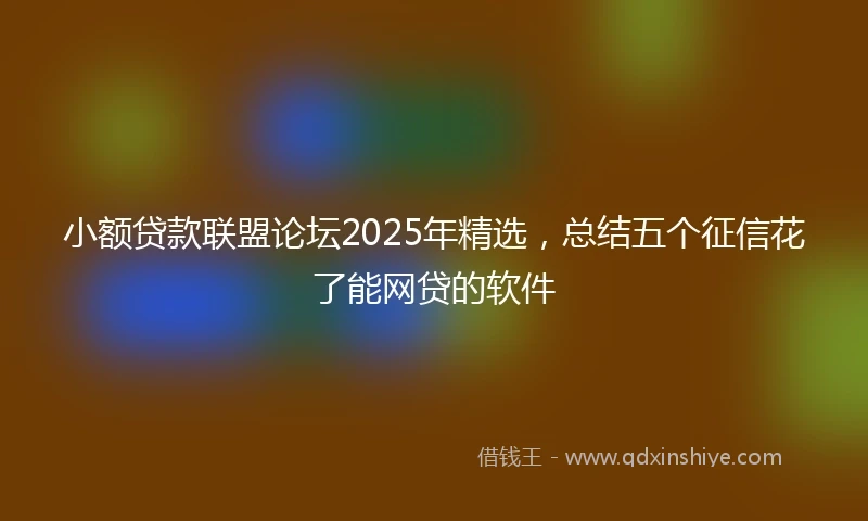 小额贷款联盟论坛2025年精选，总结五个征信花了能网贷的软件