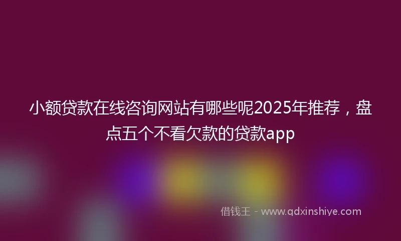 小额贷款在线咨询网站有哪些呢2025年推荐，盘点五个不看欠款的贷款app