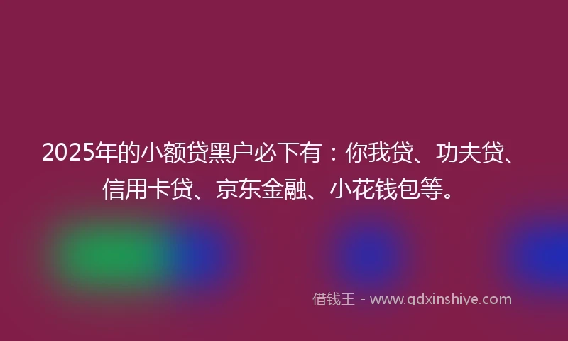 2025年的小额贷黑户必下有：你我贷、功夫贷、信用卡贷、京东金融、小花钱包等。