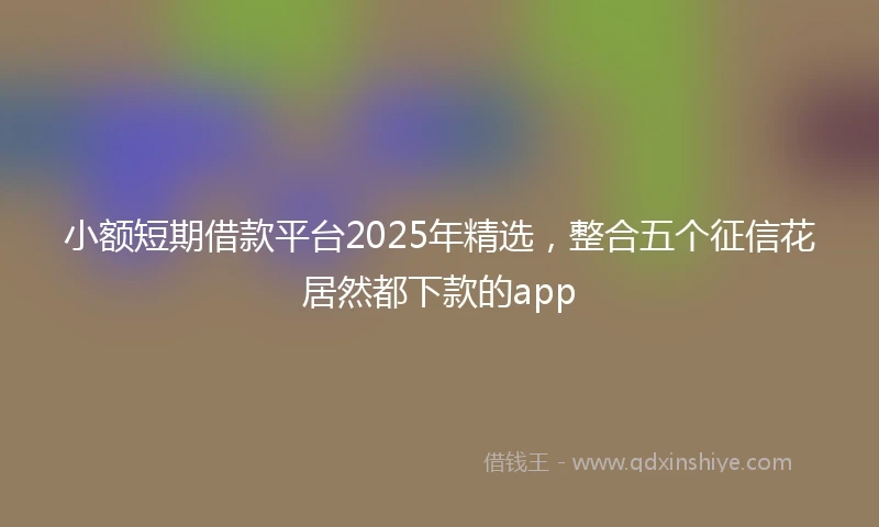 小额短期借款平台2025年精选，整合五个征信花居然都下款的app