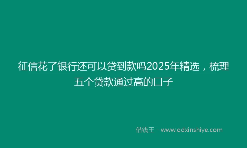征信花了银行还可以贷到款吗2025年精选，梳理五个贷款通过高的口子