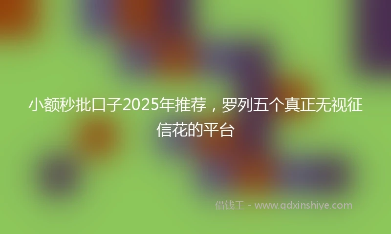 小额秒批口子2025年推荐，罗列五个真正无视征信花的平台