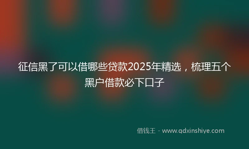 征信黑了可以借哪些贷款2025年精选，梳理五个黑户借款必下口子