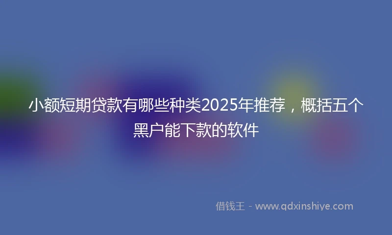 小额短期贷款有哪些种类2025年推荐，概括五个黑户能下款的软件